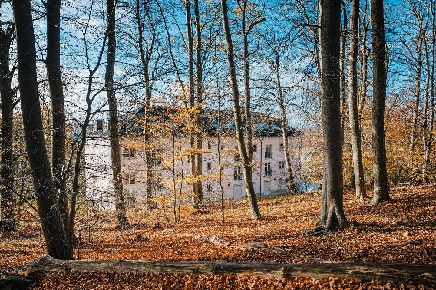 Property thumbnail 26