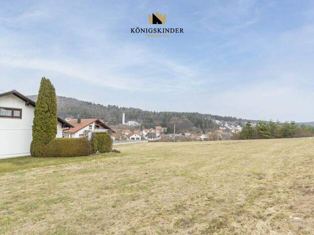 Grundstück zum Kauf 100.000 € 514 m² Grundstück Gauselfingen Burladingen 72393