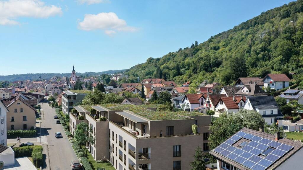 Wohnung zum Kauf 489.500 € 3 Zimmer 101 m² 1. Geschoss Tiengen Waldshut-Tiengen 79761