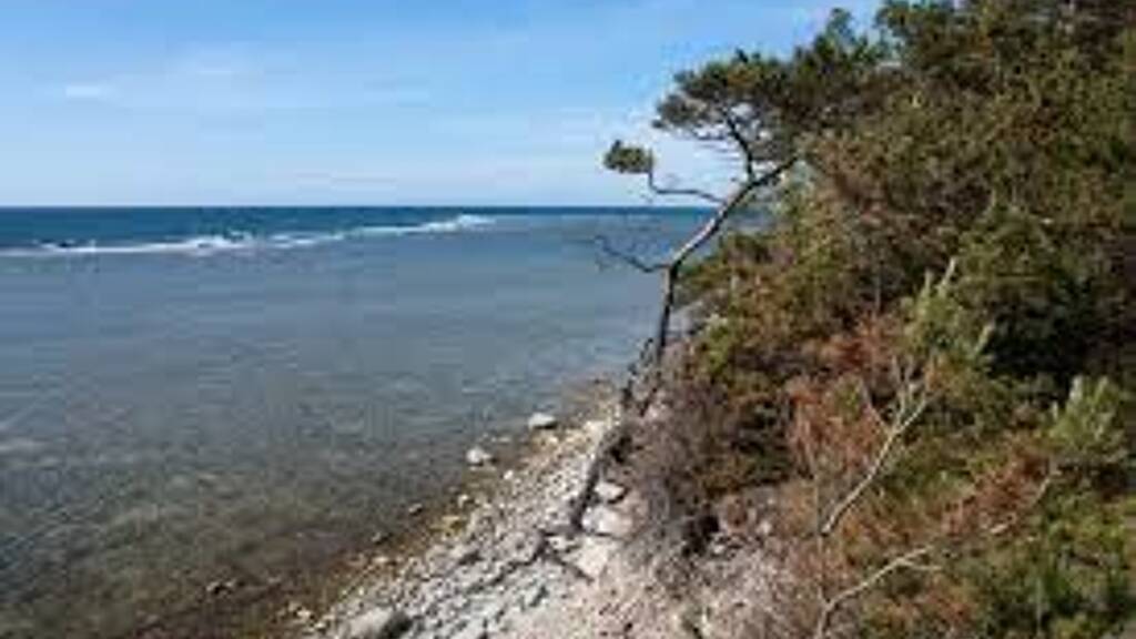 Grundstück zum Kauf 60.000 € 400 m² Grundstück Constanta primaria 907005