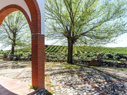 Bauernhaus zum Kauf 525.000 € 3 Zimmer 272 m² 59.563 m² Grundstück Cantillana 41320