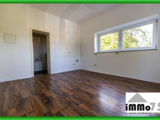Wohnung zum Kauf 75.000 € 2 Zimmer 36 m² Schwarzenberg Schömberg 75328