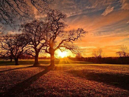 Grundstück zum Kauf 149.000 € 358 m² Grundstück Hofstetten Kleinwallstadt 63839