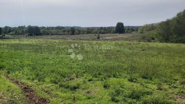 Land-/Forstwirtschaft zum Kauf 29.000 € Barban center 52207