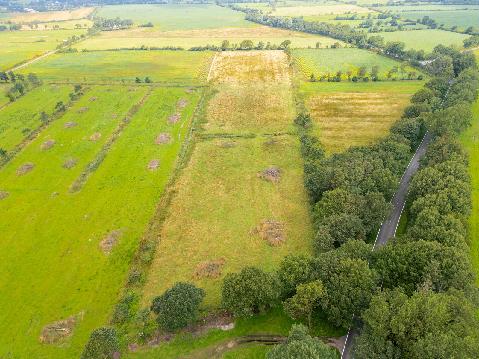 Land-/Forstwirtschaft zum Kauf 33.172 m²<br/>Grundstück Oldersbek 25873