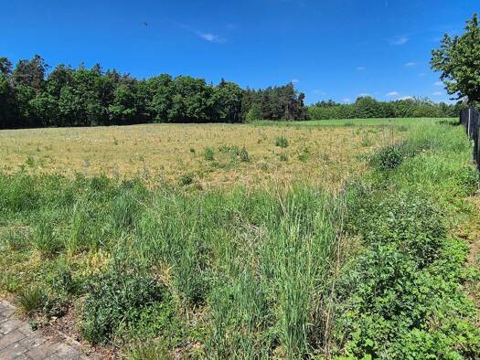 Grundstück zum Kauf provisionsfrei 379.000 € 645 m² Grundstück frei ab sofort Am Seeacker Kuhnhof Lauf an der Pegnitz 91207