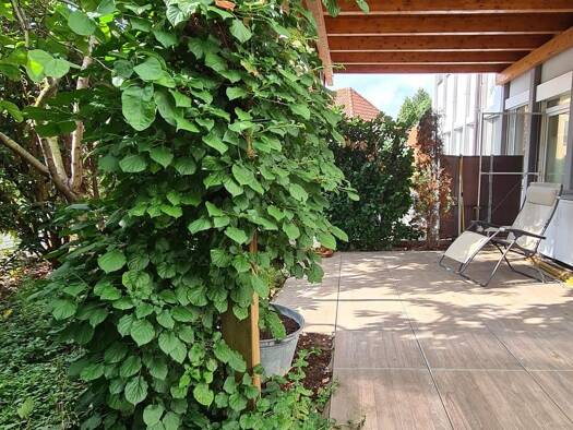 Terrassenwohnung zur Miete 2.175 € 5 Zimmer 150 m² Geschoss EG/2 frei ab 01.10.2025 Bruck Erlangen 91058