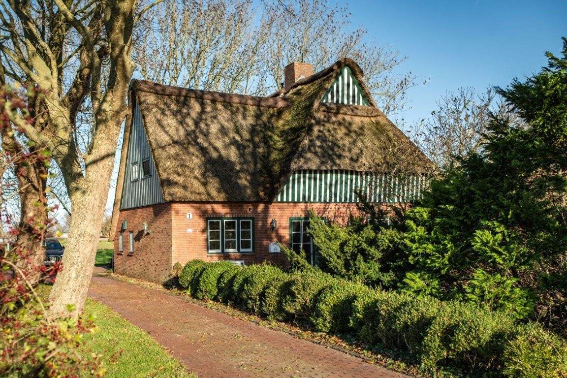 Immobilie in Wewelsfleth - Alleinlage trifft Elbdeich - Bild 3