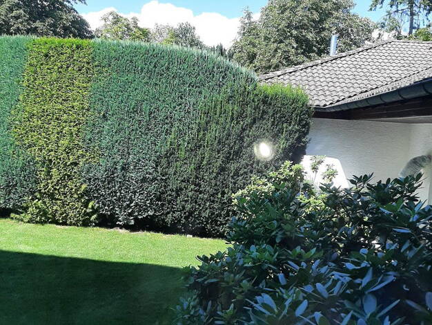 Wohnung zur Miete 320 € 1 Zimmer 20 m² EG Mörfelden-Walldorf 64546