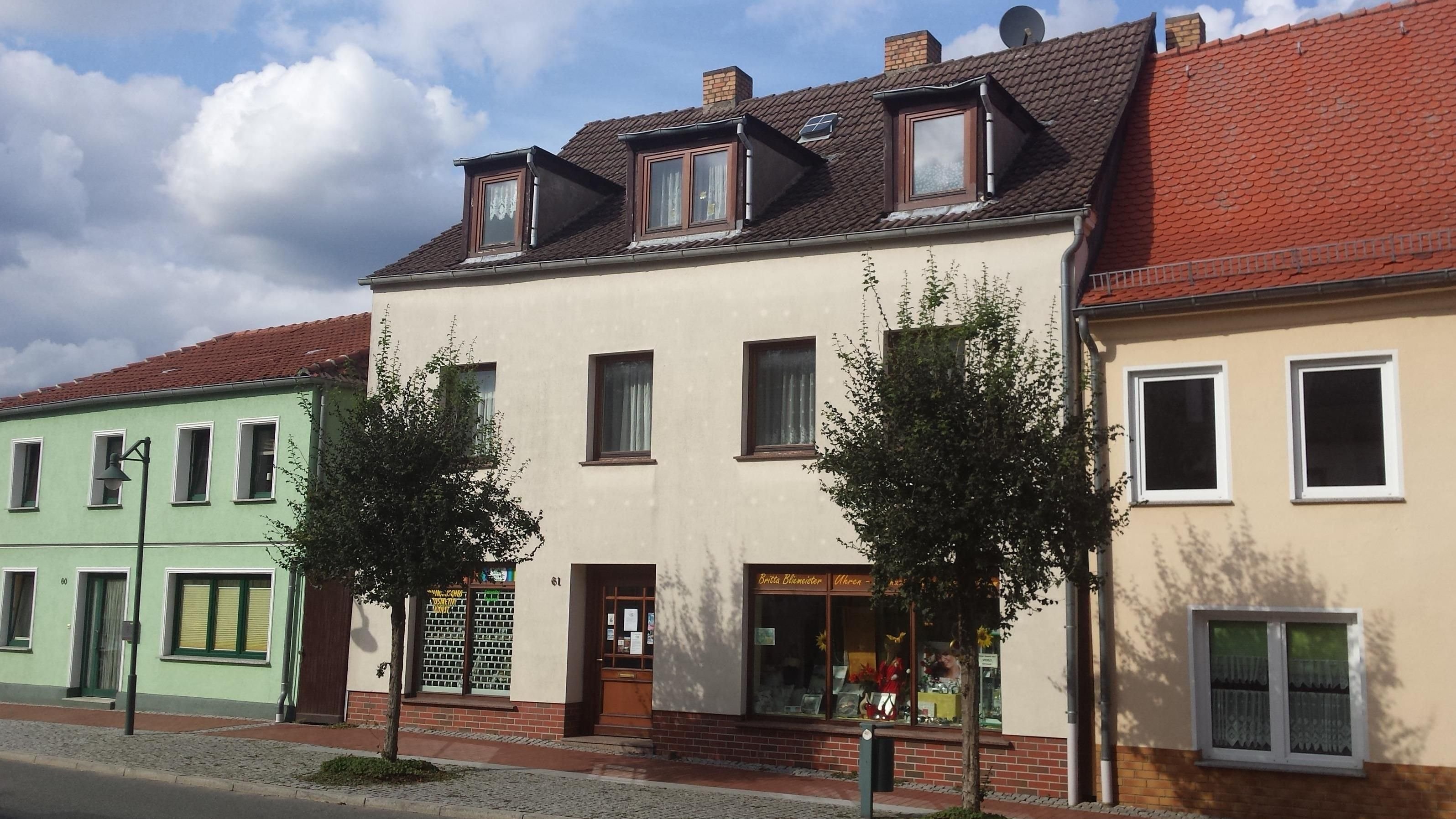 Mehrfamilienhaus zum Kauf 199.000 € 7 Zimmer 170 m²<br/>Wohnfläche 1.300 m²<br/>Grundstück Bad Sülze Bad Sülze 18334