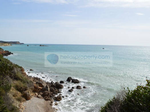 Grundstück zum Kauf 750.000 € 11.000 m² Grundstück Municipality of Central Corfu and Diapontia Islands 49100