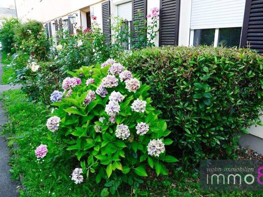 Wohnung zum Kauf 476.000 € 3 Zimmer 60 m² 1. Geschoss Ramersdorf-Perlach München 81669