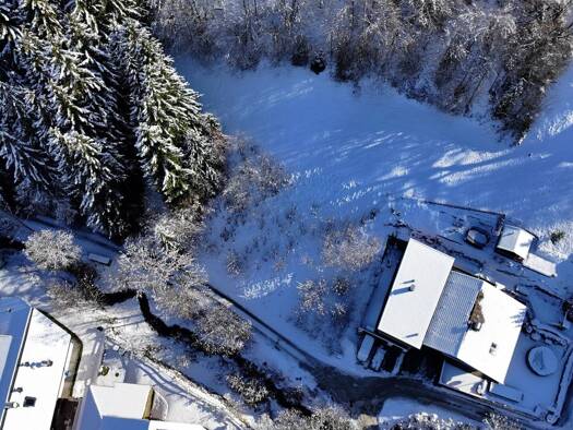 Grundstück zum Kauf 950.000 € 982 m² Grundstück Reith im Alpbachtal 6235