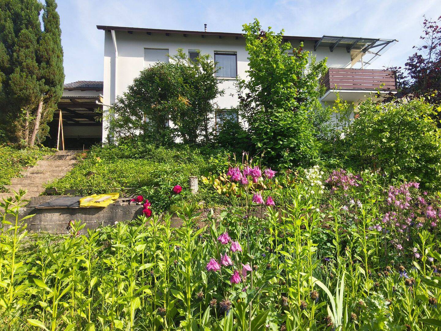 Einfamilienhaus zum Kauf - Ansicht 5