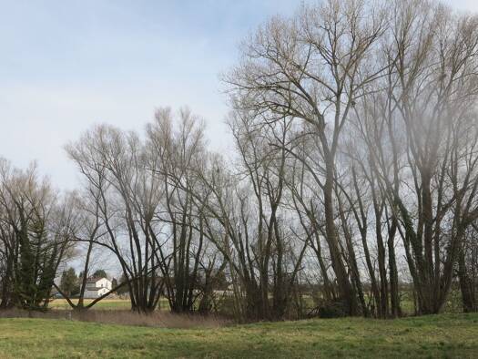 Mehrfamilienhaus zum Kauf als Kapitalanlage geeignet 590.000 € 9 Zimmer 316 m² 841 m² Grundstück Unsernherrn Ingolstadt 85051