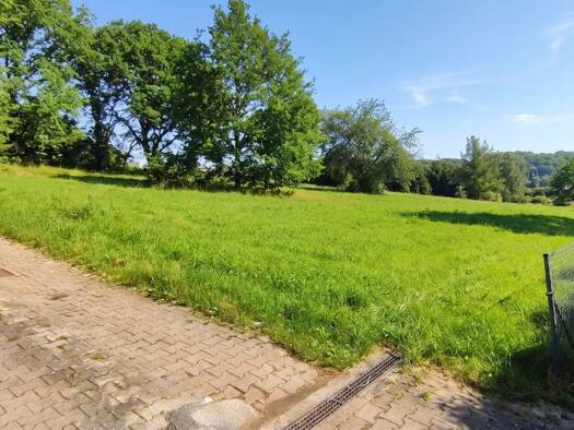 Grundstück zum Kauf 95.000 € 2.935 m² Grundstück Neuhemsbach 67680