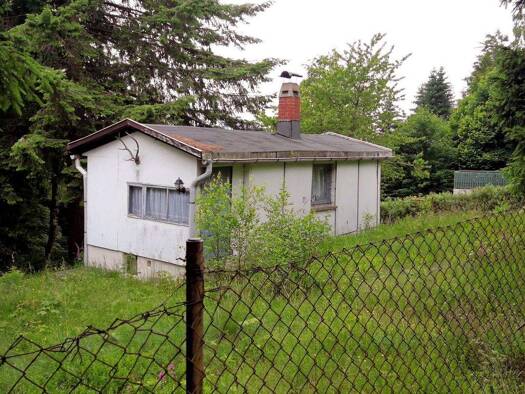 Haus zum Kauf 49.800 € 3 Zimmer 40 m² 995 m² Grundstück Geiersberg Suhl 98528