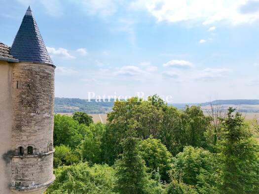 Schloss zum Kauf 380.000 € 11 Zimmer 421 m² 2.971 m² Grundstück Centre Neufchâteau 88300
