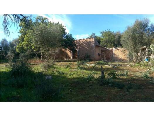 Acker-/Waldstück zum Kauf 169.000 € Polígono 7 Llubí 07430