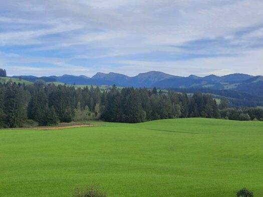 Wohnung zur Miete 490 € 2 Zimmer 46,5 m² Oberreute 88179