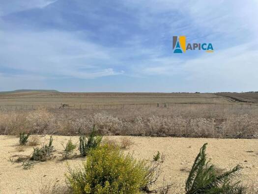 Acker-/Waldstück zum Kauf 24.000 € Vejer de la Frontera 11159