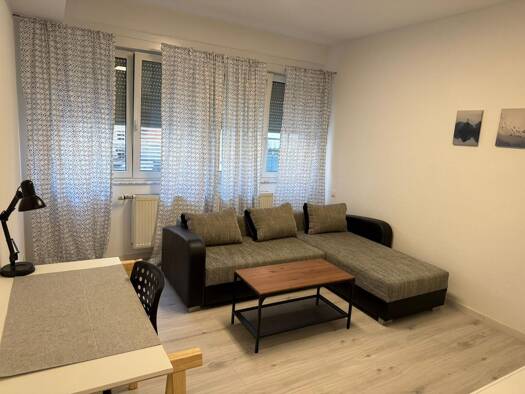 Wohnung zur Miete auf Zeit 1.050 € 1 Zimmer 41 m² frei ab 31.12.2026 Ruppmannstraße Vaihingen Vaihingen 70565