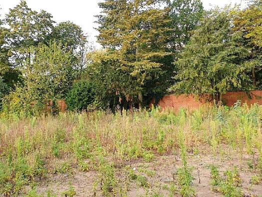 Grundstück zum Kauf - Erstbezug 650.000 € 600 m² Grundstück Pomona Neuss 41464