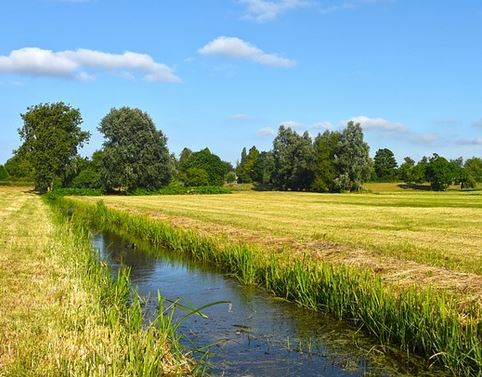 Landwirtschaftliche Fläche zum Kauf 543 € 1.086 m²<br/>Grundstück Friesoythe Friesoythe - Altenoythe 26169