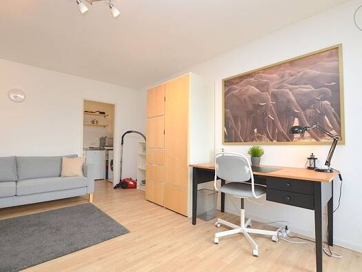 Wohnung zur Miete Wohnen auf Zeit 725 € 1 Zimmer 33 m² frei ab 01.11.2025 Höchberg 97204