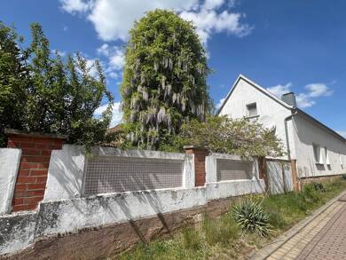 Haus zum Kauf 120.000 € 145 m² 1.117 m² Grundstück Friedersdorf Muldestausee 06774