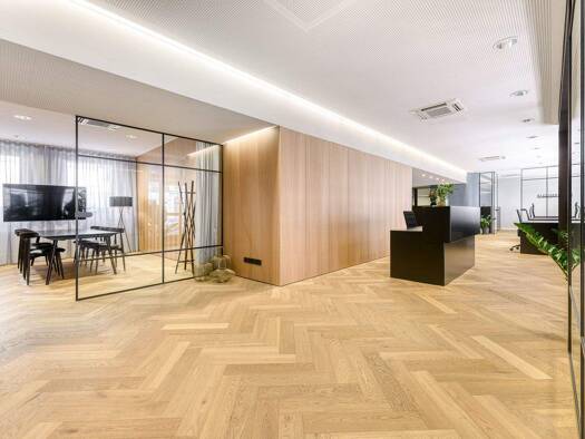 Coworking Space zur Miete provisionsfrei 900 € 1 Zimmer 140 m² Bürofläche Schulgasse 5 Dornbirn 6850