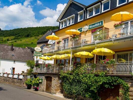 Hotel zum Kauf 15 Zimmer 494 m² Grundstück Burg (Mosel) 56843
