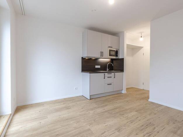 Wohnung zur Miete 990 € 1 Zimmer 19 m² 1. Geschoss frei ab 01.09.2026 Obergiesing München 81549