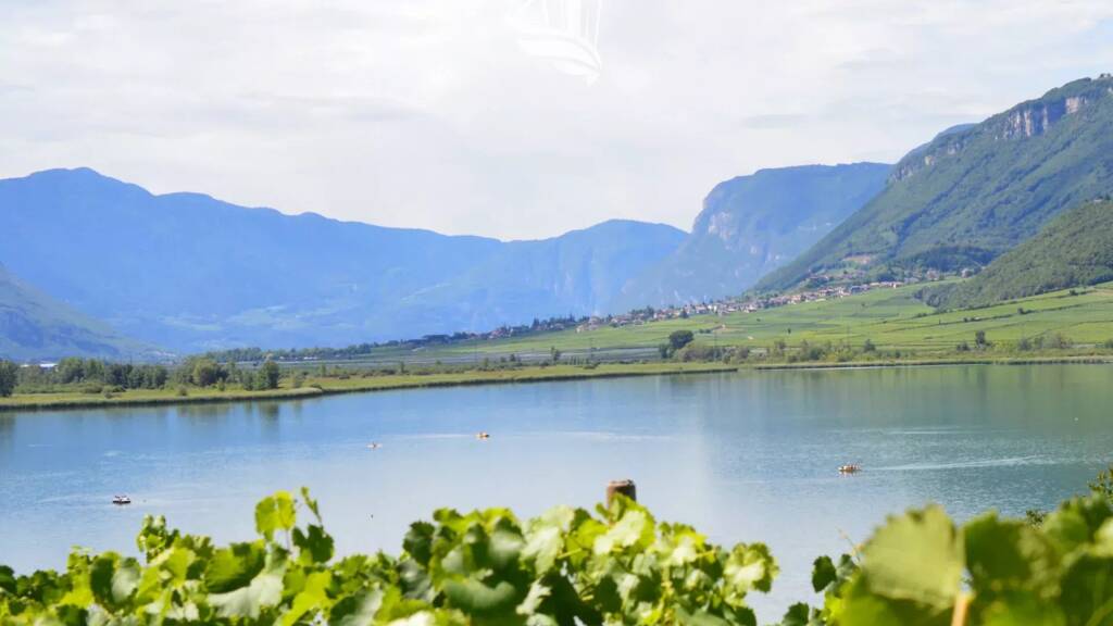 Grundstück zum Kauf 952.000 € 5.000 m² Grundstück Kaltern 39052