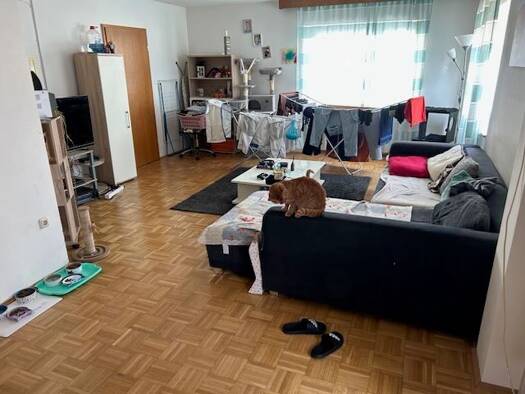 Wohnung zur Miete 750 € 4 Zimmer 105 m² frei ab 01.08.2026 Adelsdorf Adelsdorf , Mittelfr 91325