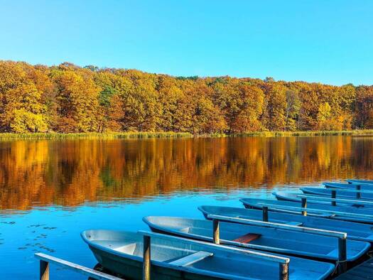 Villa zum Kauf 2.650.000 € 11 Zimmer 407 m² 1.195 m² Grundstück Berlin / Schlachtensee 14129