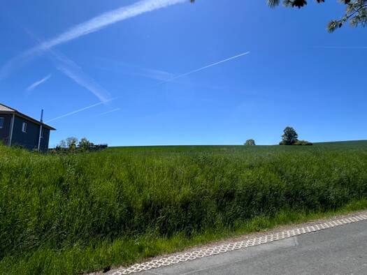 Grundstück zum Kauf 1.100 m² Grundstück Oberlauter Lautertal 96486