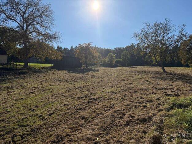 Grundstück zum Kauf 271.510 € 2.858 m² Grundstück Buch Buch am Wald 91592