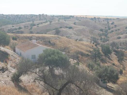 Bauernhaus zum Kauf 168.000 € 4 Zimmer 120 m² 80.000 m² Grundstück Bollullos par del Condado 21710