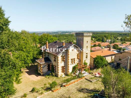 Einfamilienhaus zum Kauf 470.000 € 10 Zimmer 220 m² 2.334 m² Grundstück Le Centre-Centre Ville Roanne 42300
