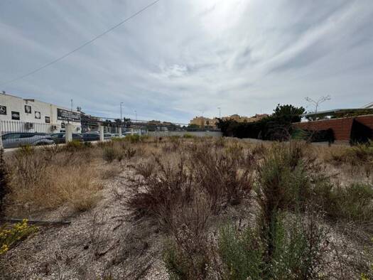 Acker-/Waldstück zum Kauf 577.500 € Orihuela 03300