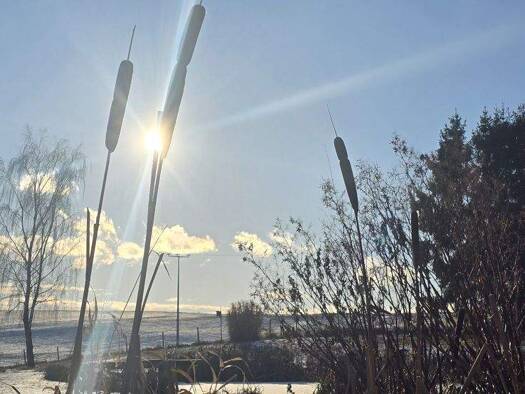 Bauernhaus zum Kauf 2.900.000 € 10 Zimmer 320 m² 48.529 m² Grundstück Asperting Dietersburg / Asperting 84378