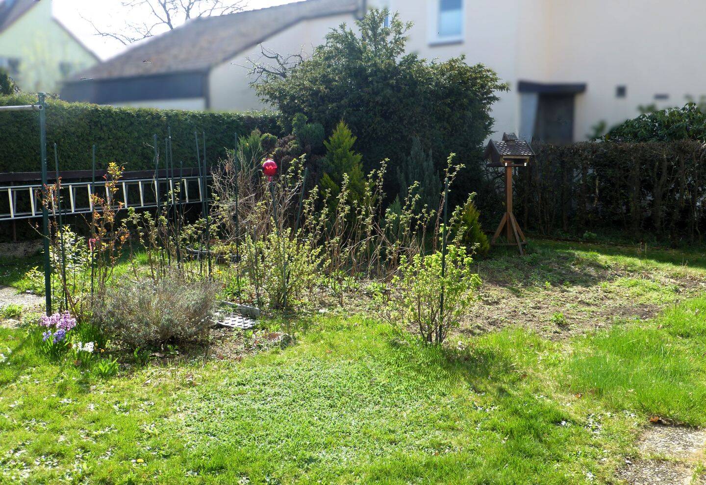Einfamilienhaus zum Kauf - Ansicht 2