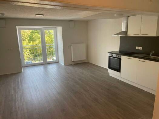 Wohnung zur Miete 400 € 1 Zimmer 34,2 m² Römerstraße 12 Laiz Sigmaringen 72488