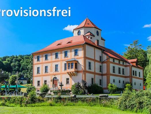 Schloss zum Kauf 22 Zimmer 620 m² 9.500 m² Grundstück Schönberg Bad Brambach 08648