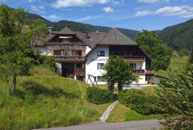 Hotel zum Kauf 1.295.000 € 20 Zimmer 76,2 m² Gastrofläche Simonswald 79263