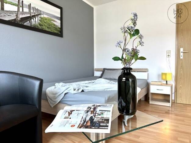 Wohnung zur Miete auf Zeit 750 € 1 Zimmer 32 m² frei ab 01.02.2027 Möckern Leipzig 04159