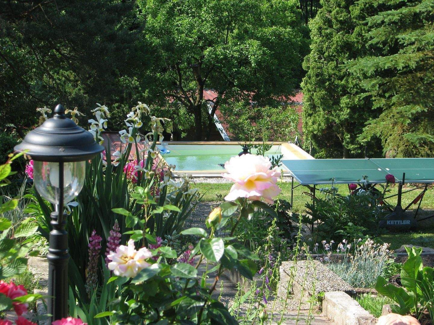 Immobilie in Weihenzell - sonniges Wochenendhaus  - Bild 4