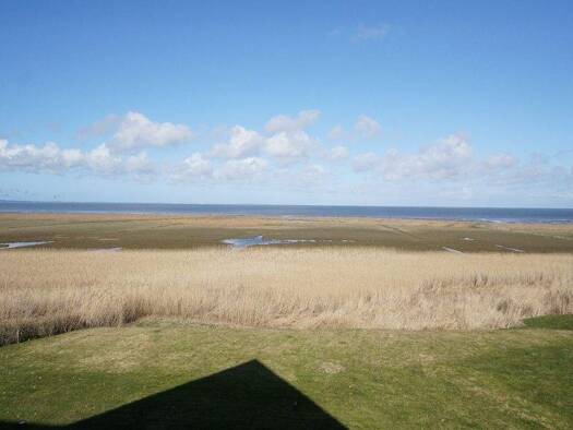 Wohnung zum Kauf 425.000 € 2 Zimmer 43 m² Morsum Sylt 25980