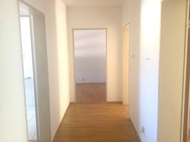 Wohnung zum Kauf provisionsfrei als Kapitalanlage geeignet 207.500 € 3 Zimmer 82 m² 2.898 m² Grundstück teilbar ab 82 m² Singen Singen (Hohentwiel) 78224